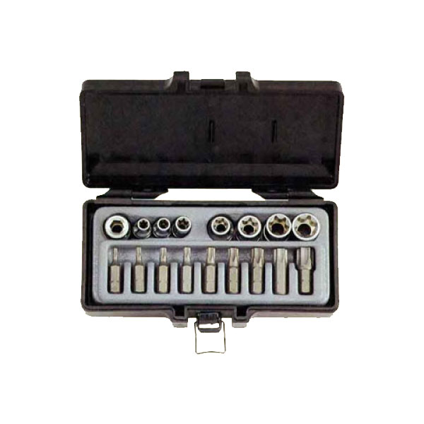 Набор торцевых головок 3/8" (Е6-Е16) и бит TORX 5/16"(T10-T55), 17 пр 3171