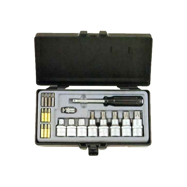 4211 DR.1/2" Набор бит и головок-бит Torx T6-T60 21пр. в пластиковом пенале с ложементом 4211   T4211