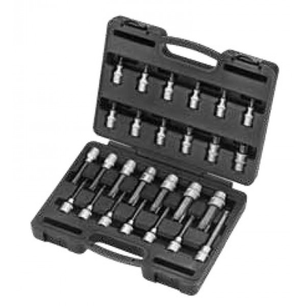 Набор головок-бит Торкс (Т20-Т100) 26 пр. DR.1/2" 4263
