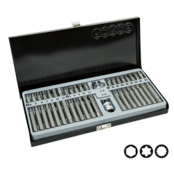 4421 Набор бит (Hex, Torx, Spline) H-10мм/L(30мм и 75мм) 42 пр. в мет пенале.