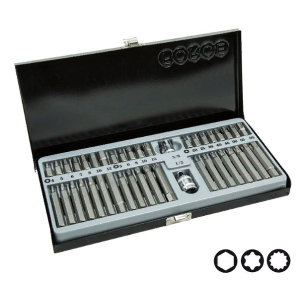 4421 Набор бит (Hex, Torx, Spline) H-10мм/L(30мм и 75мм) 42 пр. в мет пенале. 4421  4421T