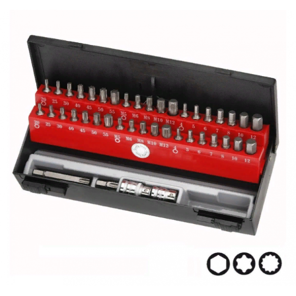 4421C Набор бит (Hex, Torx, Spline) H-10мм/L(30мм и 75мм) 42 пр. в пласт. пенале. 4421C          4421CT