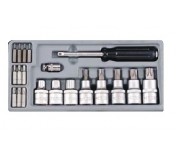 T4211 DR.1/2" Набор бит и головок-бит Torx T6-T60 21пр. в пластиковом ложементе