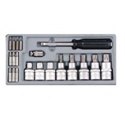 T4211 DR.1/2" Набор бит и головок-бит Torx T6-T60 21пр. в пластиковом ложементе