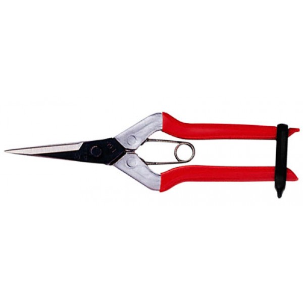 Ножницы для сбора фруктов, овощей, цветов с длинными, прямыми лезвиями KS-55C