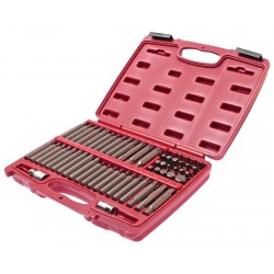 Набор бит 1/2 3/8 HEX, TORX, SPLINE, RIBE 6-ти гранных 2 держателя 58 предметов в кейсе JTC