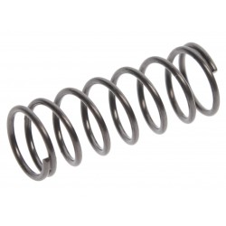 Ремкомплект для шприца JTC-5551 (10) пружина JTC