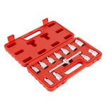 Набор для откручивания масляных пробок, 12 предметов WDK-2141201