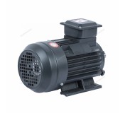 Мотор 220В для NGT20