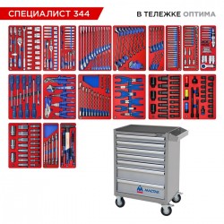 Набор инструментов 344 предмета, СПЕЦИАЛИСТ 344, в серой тележке МАСТАК 52-07344G