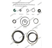 ЗАПЧАСТЬ РЕМКОМПЛЕКТ ПНЕВМОНАСОСА PK для домкрата N402 NORDBERG 000003769