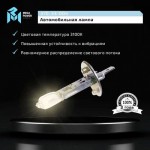Автолампа H1 (55) P14.5s STANDART (бокс, 2шт) 12V MEGAPOWER /1/10 M-37033004