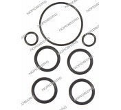 NORDBERG ЗАПЧАСТЬ РЕМКОМПЛЕКТ КЛАПАНА ПЕРЕКЛЮЧЕНИЯ для домкрата N302 000008132