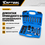 Набор для ремонта генераторов 30 предметов Car-Tool CT-N0240