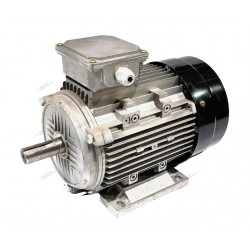 Электродвигатель 4 кВт для NCE200/660 NORDBERG NCE200/660#MOTOR