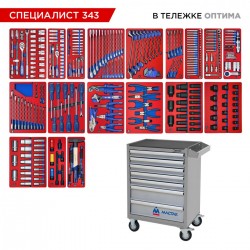 Набор инструментов 343 предмета, СПЕЦИАЛИСТ 343, в серой тележке МАСТАК 52-07343G