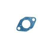 21157009 Прокладка  угольника радиатора LT-100NV