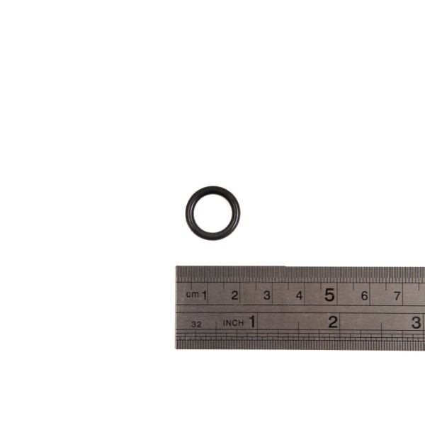 Кольцо RT-5567 (O Ring) поз.9 5567P9