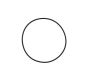 O-ring 5004204210701 Резинка поз. № 7