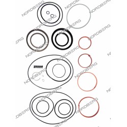 Ремкомплект цилиндра с XTP для домкрата N302 NORDBERG 000002040