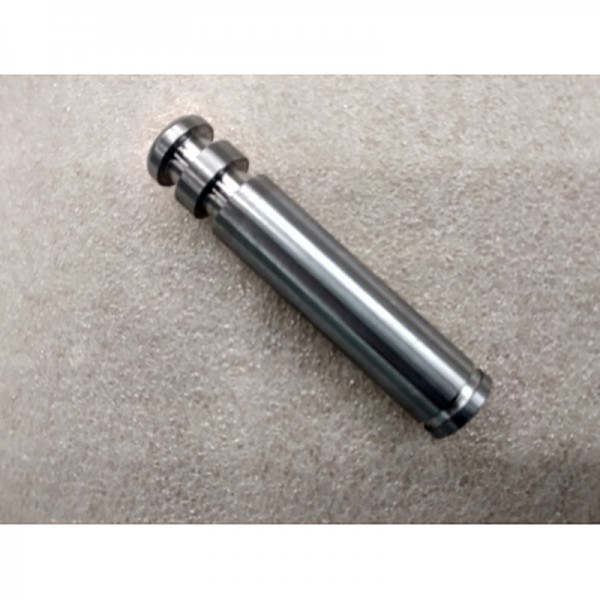 Плунжер, d15 x 73 мм LYD3I.4-2