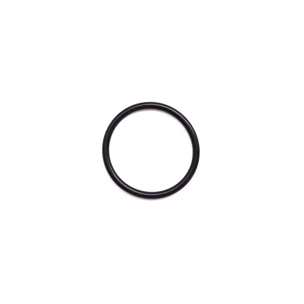 Кольцо  RT-5880 (O-Ring) поз.09 5880_09