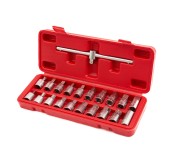 ST095 Набор головок для маслосливных пробок, 21 предметов