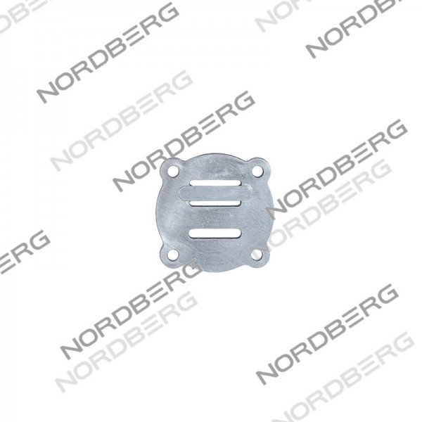 Клапанная плита в комплекте D65, M8 для NCP100/420A, NCP100/420, NCP200/580 21124013