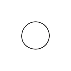 O-ring 5004204211301 Кольцо резиновое № 13