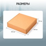 Шланг гидравлический 3 м, 700Бар, 3/8*М24 Car-Tool CT-03700H
