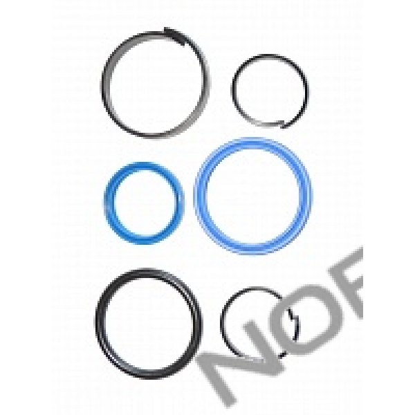 NORDBERG ЗАПЧАСТЬ РЕМКОМПЛЕКТ #E01 для N4120B/N4120H/N4120H1 X006545