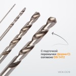 Набор сверл по металлу HSS-G 1-10 мм, 19 предметов WDK-DG19