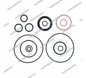 Прокладка (комплект) для N32036 NORDBERG N32036#RK