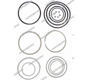 Ремкомплект для пресса N3675E NORDBERG 000011372