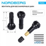Вентиль для бескамерных шин, 100 шт. NORDBERG TR413