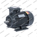 Мотор 220В для NGT20 NGT20#MOTOR220