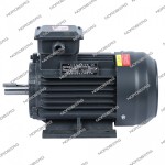 Мотор 380В для NGT30 NGT30#MOTOR380