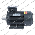 Мотор 220В для NGT20 NGT20#MOTOR220