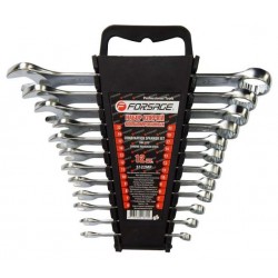 Forsage F-5122MP Набор ключей комбинированных 12пр. (6-14, 17,19, 22мм) в пласт.держателе