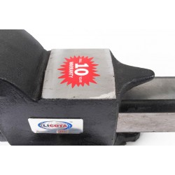 Тиски верстачные 250мм LICOTA TMS-61006-10