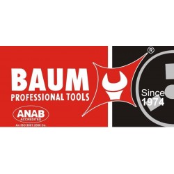 Baum auto