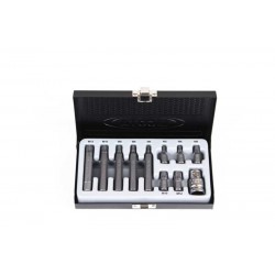 Набор бит Spline М5-М12 S2 11пр. LICOTA ABS-80006