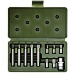 Набор вставок 3/8" Ribe 11 пред. ДЕЛО ТЕХНИКИ 626791